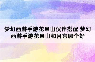 梦幻西游手游花果山伙伴搭配 梦幻西游手游花果山和月宫哪个好